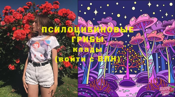 прущий лед Володарск