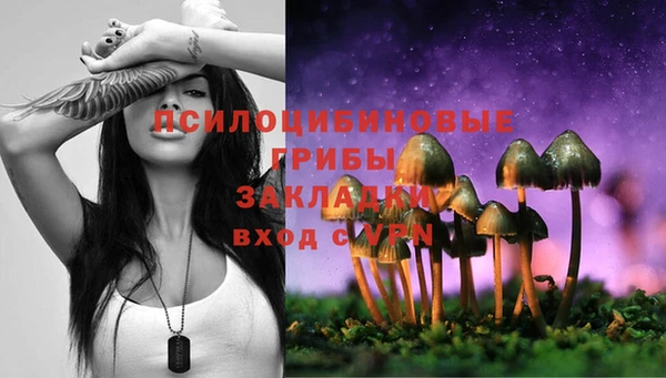прущий лед Володарск