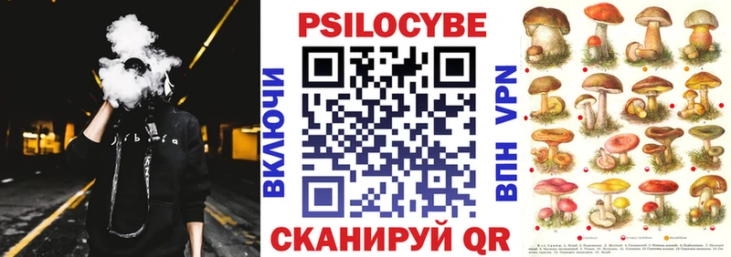 Псилоцибиновые грибы Psilocybe  Купить где  Сусуман 